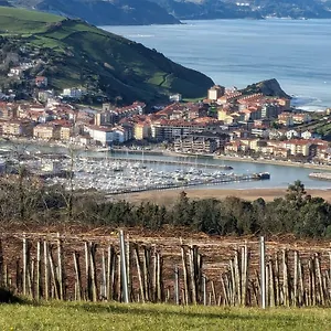 Basque Alai Apartamento
